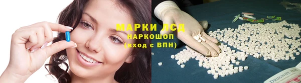 трава Алексин