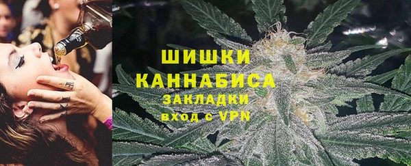 ГАЛЛЮЦИНОГЕННЫЕ ГРИБЫ Алзамай