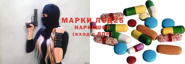 ГАЛЛЮЦИНОГЕННЫЕ ГРИБЫ Алзамай