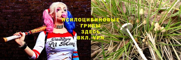 ГАЛЛЮЦИНОГЕННЫЕ ГРИБЫ Алзамай