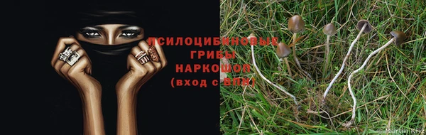 ГАЛЛЮЦИНОГЕННЫЕ ГРИБЫ Алзамай