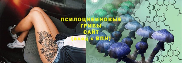 трава Алексин